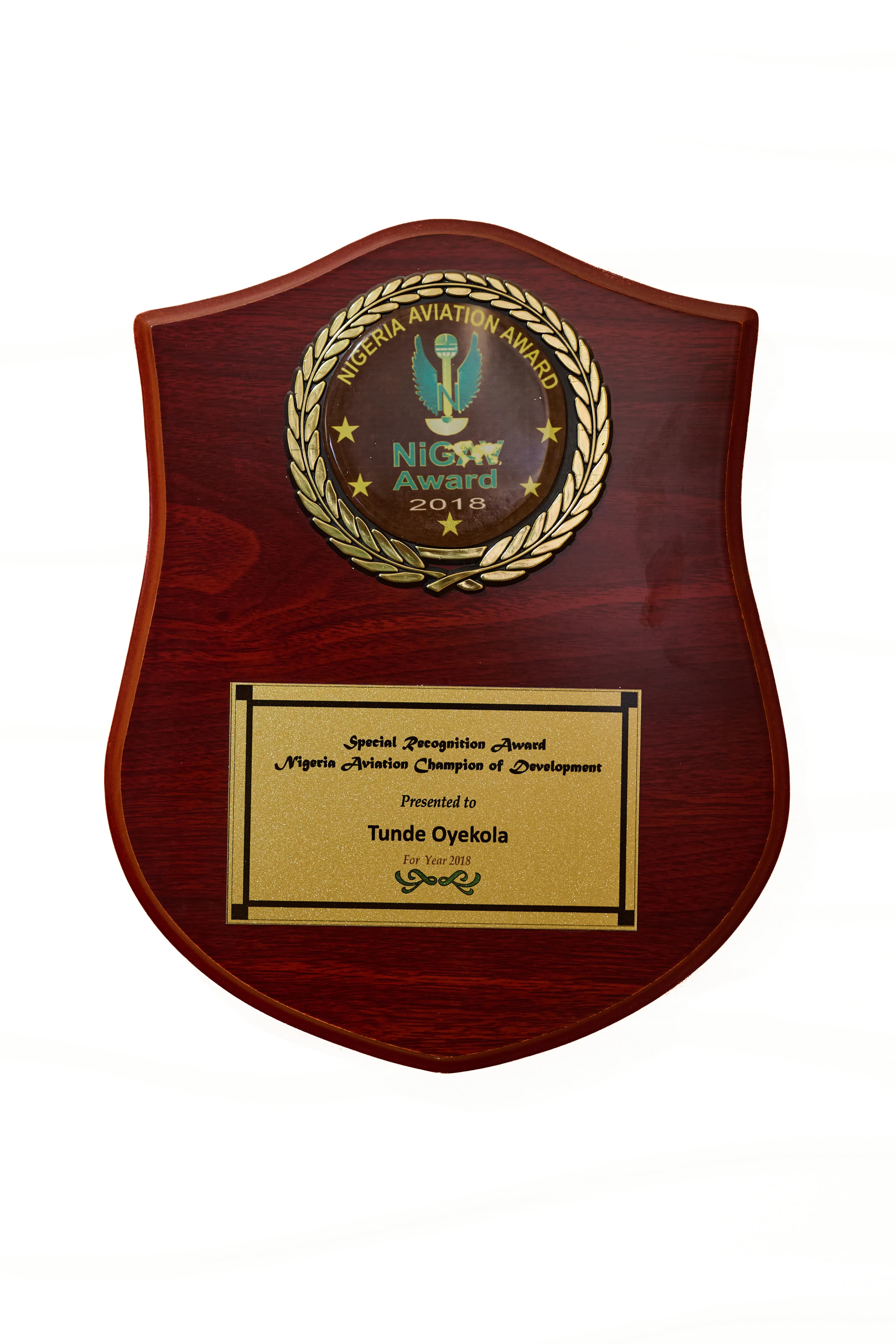 Special Recognition Award: National Aviation Champion of Development EL Mansur real estate development company building construction services